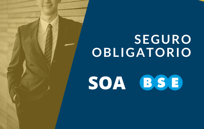 Seguro obligatorio BSE